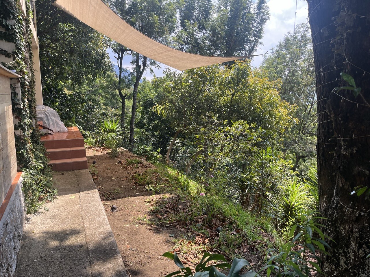 Mural geométrico maya con puerta rosa en Santa Catarina