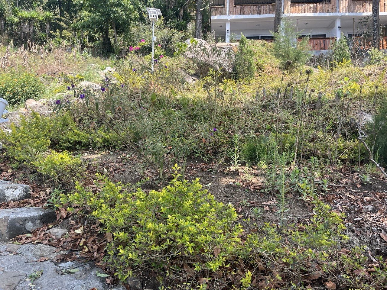 Niñas mayas caminando junto a murales geométricos azules