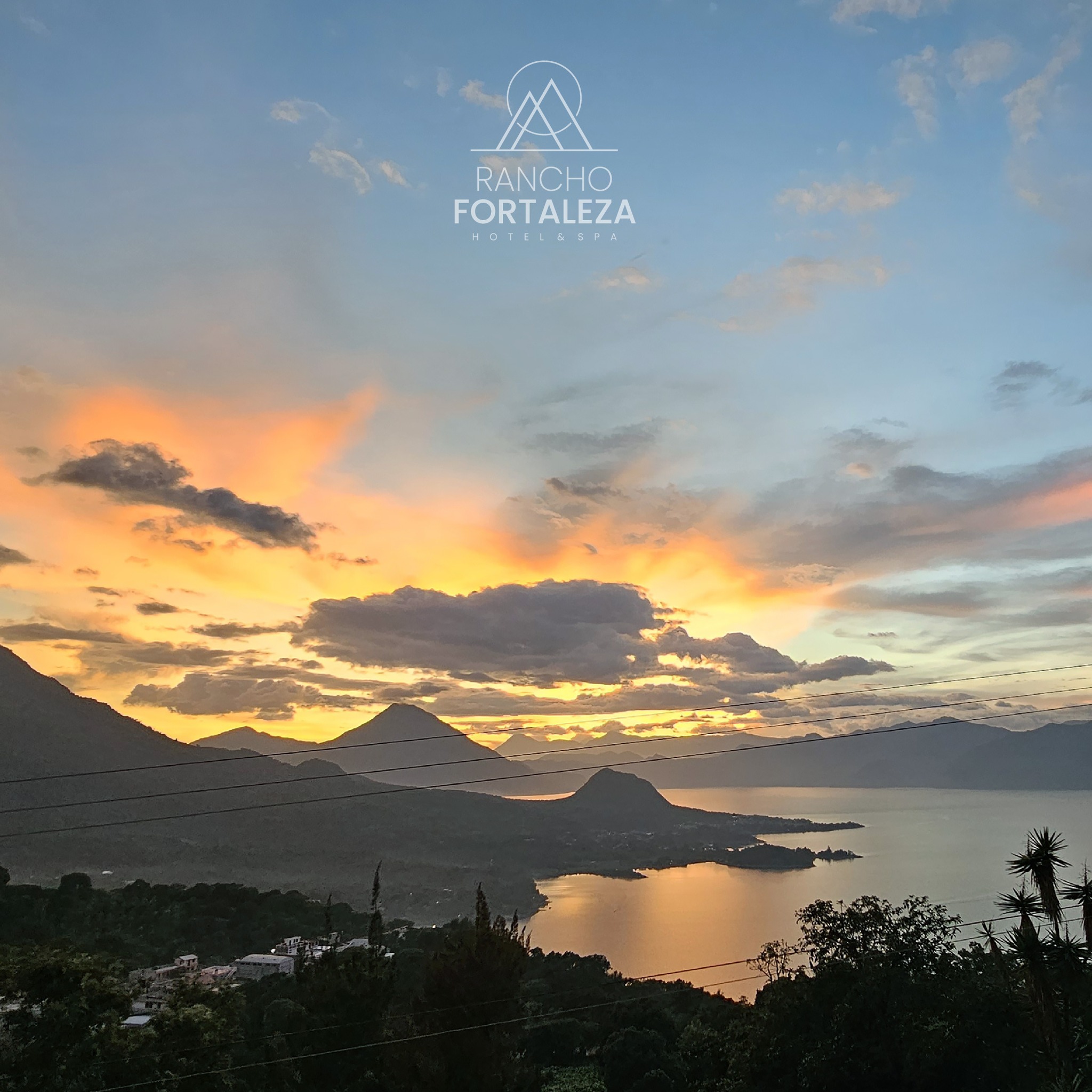 Baño con tina y pájaros artesanales