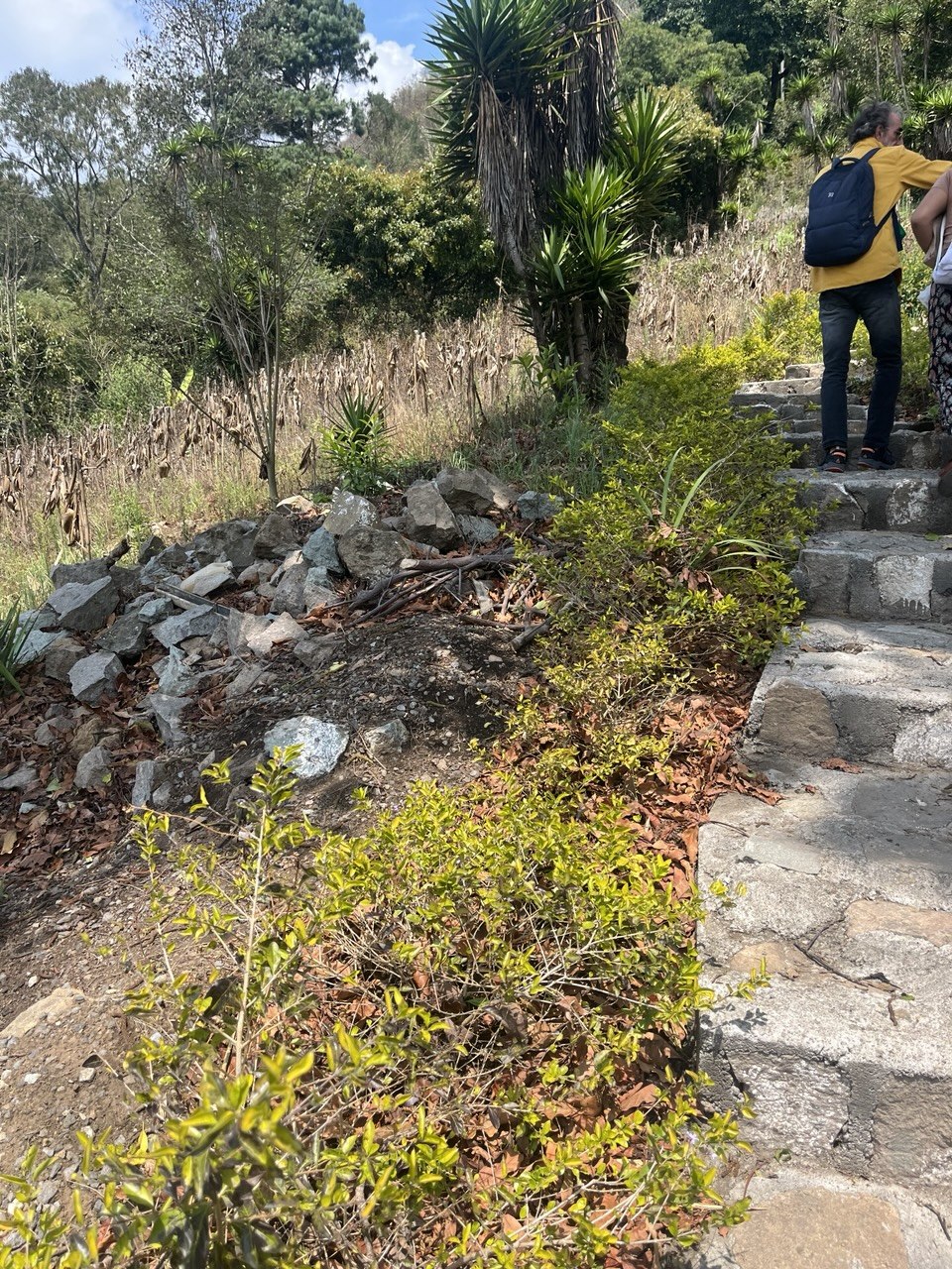 Triple con armario rojo