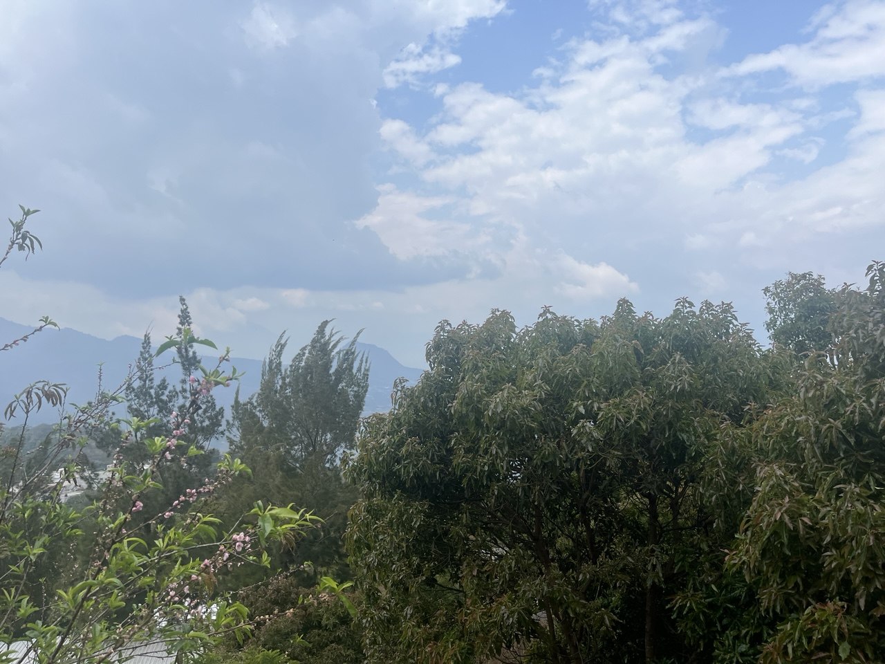 Piscina con deck de madera e iluminación azul neon